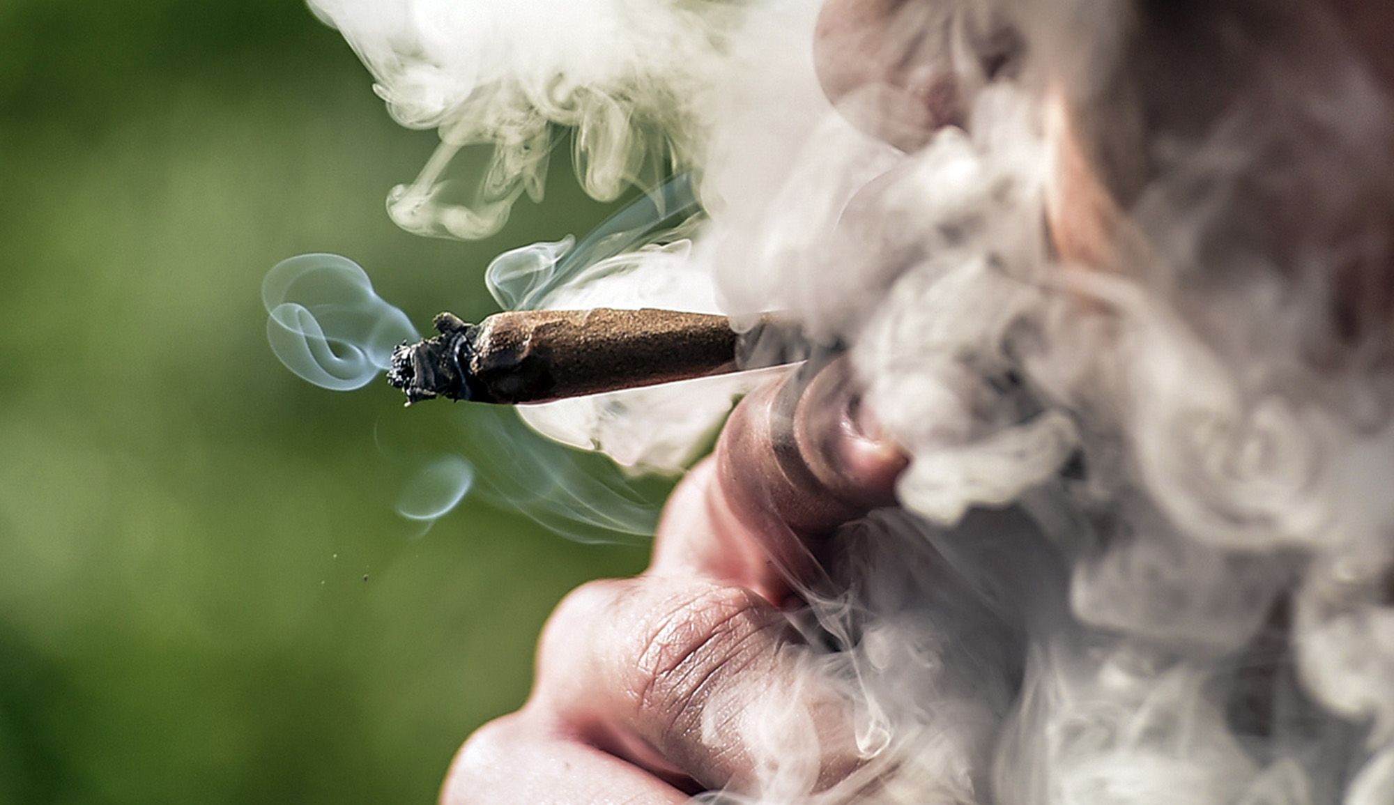 The High Stakes Gamble: Trump's Weed Pivot and the Banking Bill Bonanza