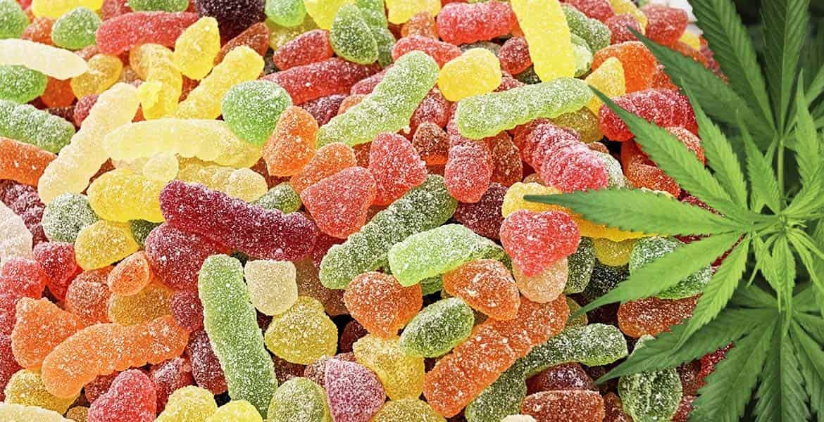 Wholesale CBD Edibles