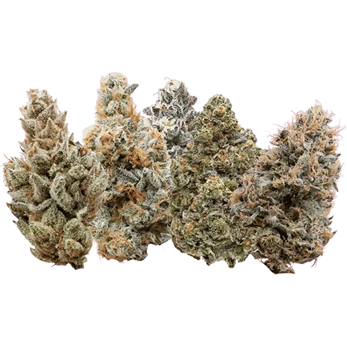 Buy THCA Flower Online