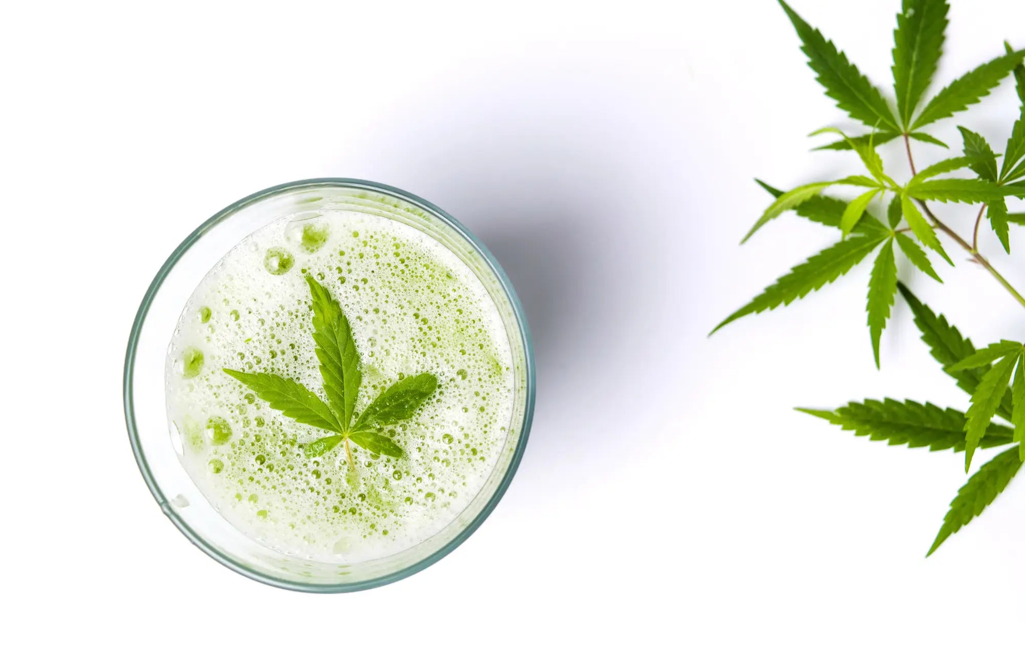 CBD Drinks Industry
