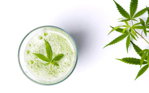 CBD Drinks Industry