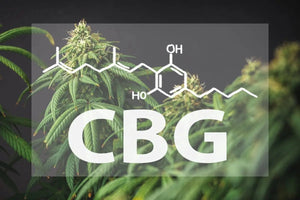 Unleashing the Power of CBG: Discover the Best CBG Products for Optimal Wellness!