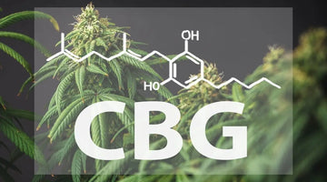 Unleashing the Power of CBG: Discover the Best CBG Products for Optimal Wellness!