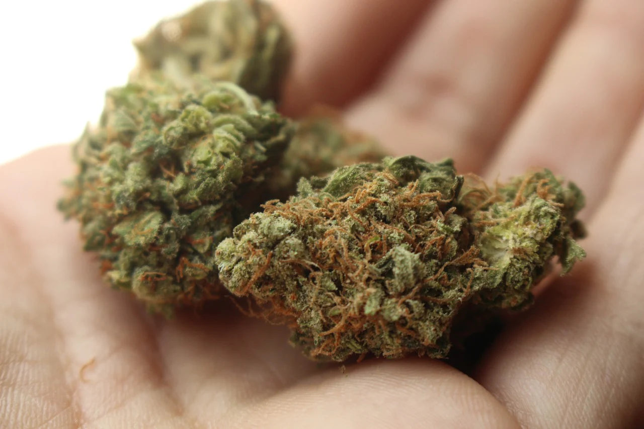The Rise of THCA Flower Spray: A New Frontier in Cannabis Innovation