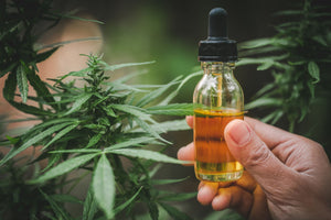 Wholesale CBD Tincture